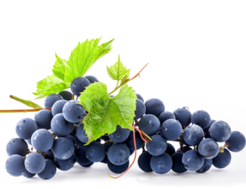 ブドウ葉エキス
 収斂