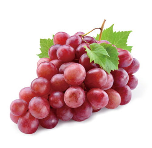 乳酸桿菌
 ブドウ果汁発酵液