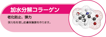 加水分解コラーゲン