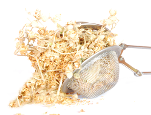 フユボダイジュ花エキス
 ヒアルロン酸保