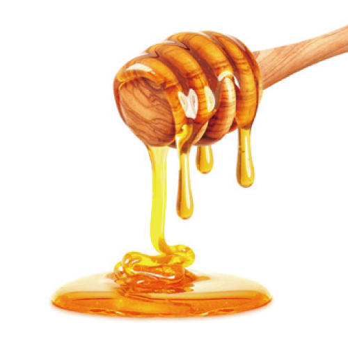 グルコノバクター
 ハチミツ発酵液