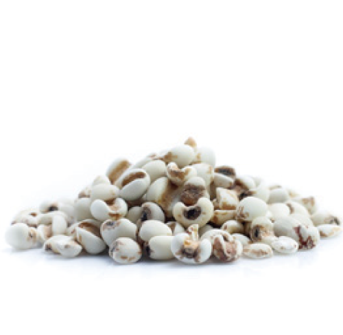 サッカロミセス
 ハトムギ種子発酵液