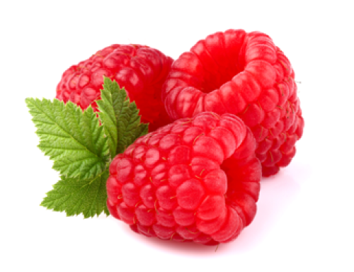 キイチゴエキス
 コラーゲン保護