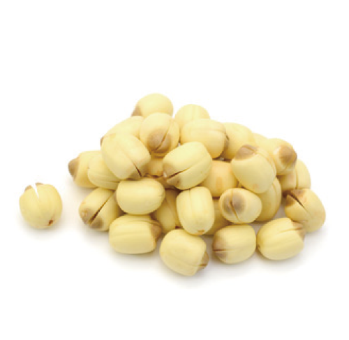 乳酸桿菌
 ハス種子発酵液