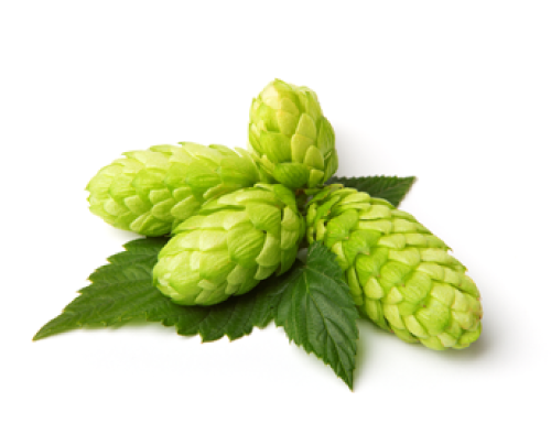 ポップエキス
 抗アレルギー