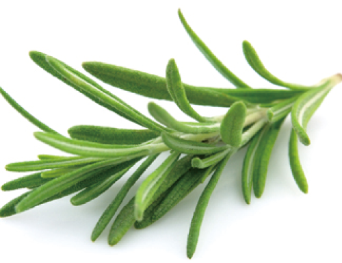 ローズマリーエキス
 抗酸化