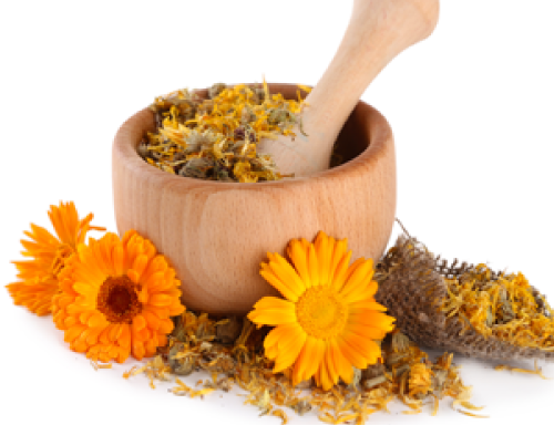 トウキンセンカ花エキス 美白